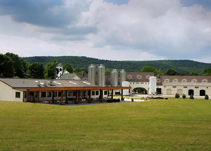 Herkimer Hotels