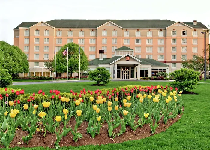 Albany Beach hotels