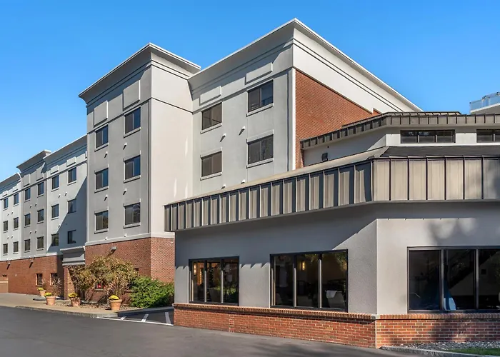 Mount Ross Hotels